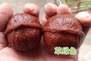 麻核桃的收藏养生价值与盘玩健身功效