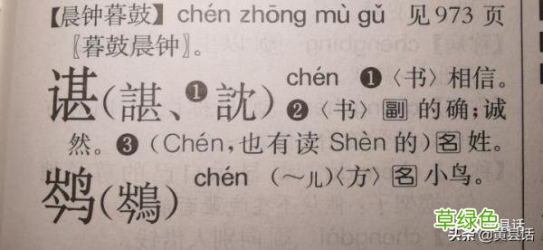 为什么谌龙的“谌”读chén，而谌利军的“谌”读shèn？ 姓念怎么取名