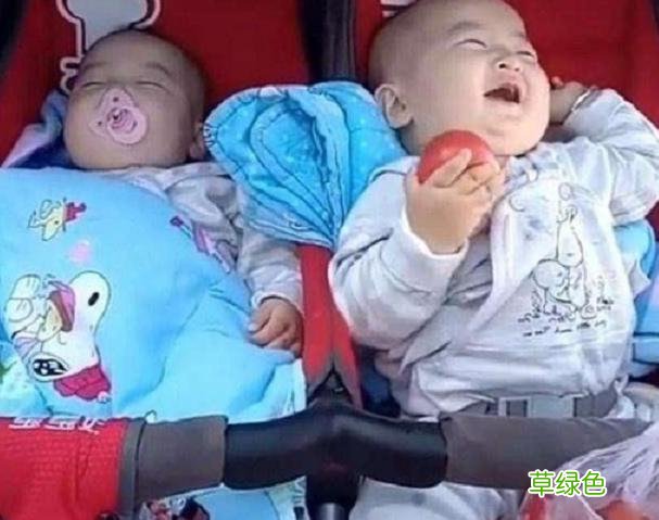 爸爸姓“周”，给双胞胎取名自认好记，户籍人员：孩子是亲生的吗 姓氏周怎么取名