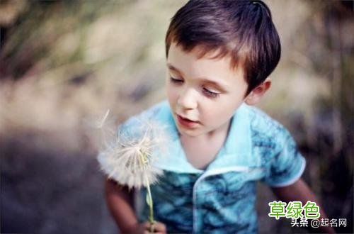 这些傲娇的“猫系”男孩名,时而热情如火,时而文质彬彬 名字带俊怎么样