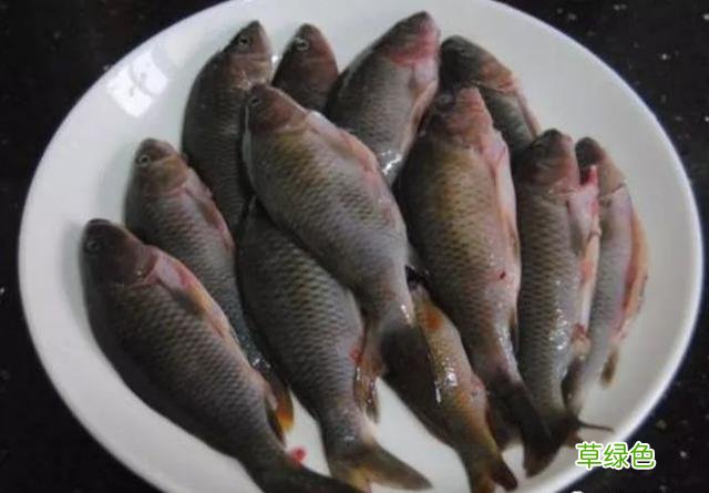 公认“特别好吃”的4种鱼，尤其是第三种，大多数人“抢着吃” 子鱼名字