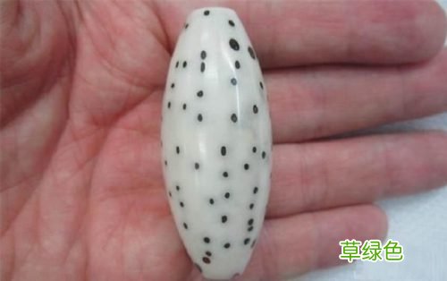 千眼菩提怎样打磨和保养才能形成漂亮的包浆？