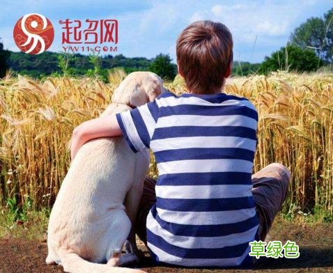 带有宝盖头的男孩取名常用字精选，适合狗年出生的男孩取名！ 宗属什么五行