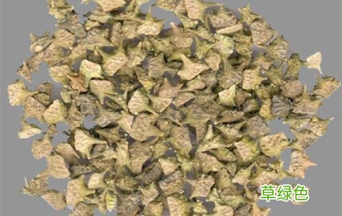 白刺果的功效与作用 白度功效与作用