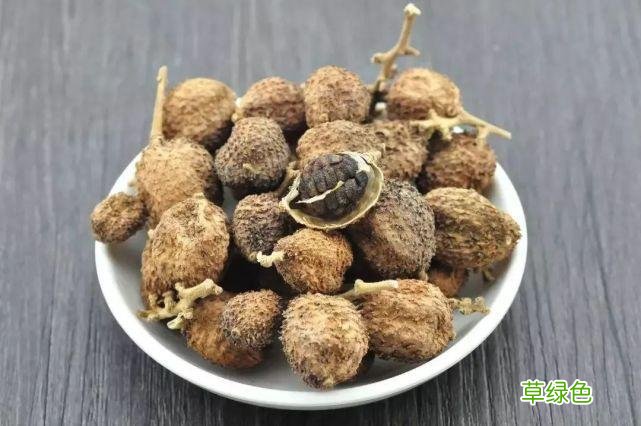中药砂仁的功效 砂仁作用与功效