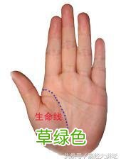 三分钟,教你学会看手相 怎么手相