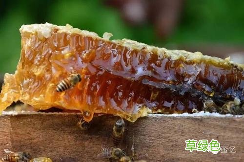 蜂蜜加什么有毒 蜂蜜和什么在一起有毒