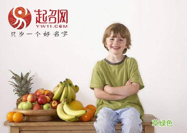 最好听男孩名字排行榜，看看你的孩子名字在榜上吗？ 康顺什么生肖