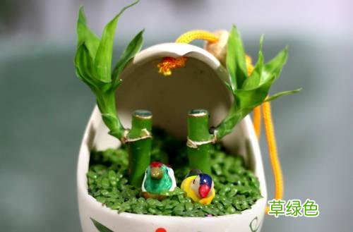 4种能开运、旺财的花草！你家有吗？ 开运树什么