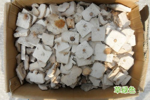 茯神木的功效与作用的功能与主治 茯神作用与功效