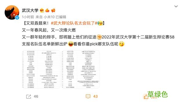 “啊对对队”武汉大学辩论队队名又火了 网友：优秀的人大多有趣 好听的战队名字