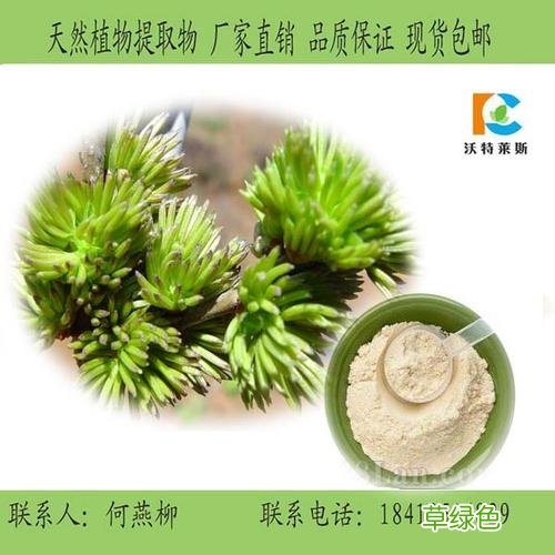 杜仲雄花每天服用多少克 杜仲雄花配方多少克