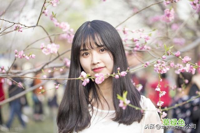 温柔、文雅、兰心蕙质的女孩名字，像花一样美丽 柔字怎么取名