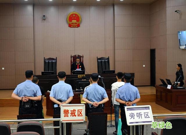 自贡恶势力犯罪集团案二审维持原判 首犯李智宇被判20年 李智宇名字