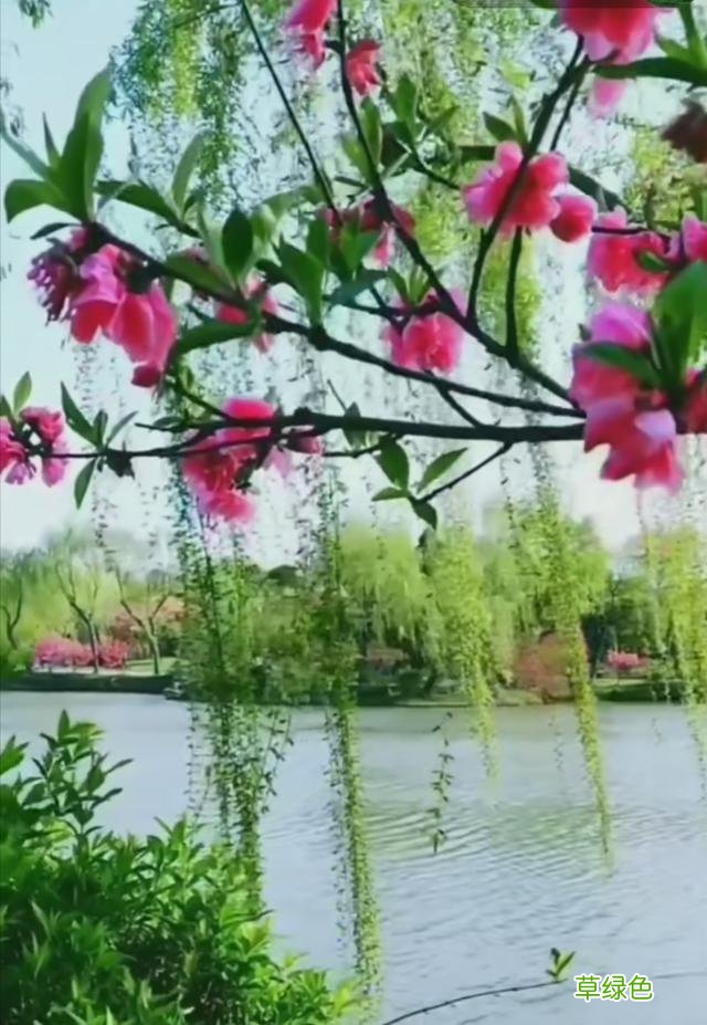 怎样起个好名字 90 注意美好形象的起名法 杨什么伟起名