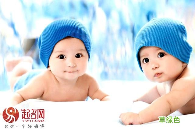 双胞胎宝宝实用的起名大全，给两个宝贝起个两全其美的名字吧 林对名字