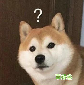离谱！《风起洛阳》意外延播，“一星差评”却准时到来 杜可什么