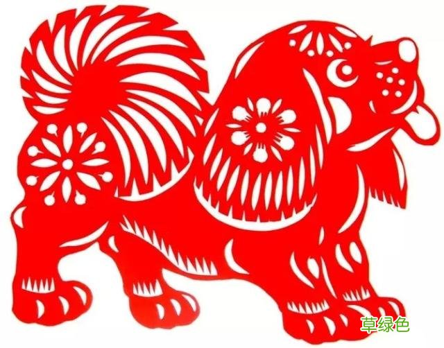 狗年到！旺旺旺！生肖狗的人性格全析！ 析生肖属什么