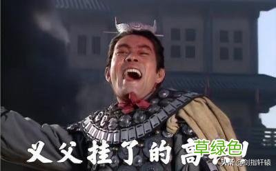 本人姓林，生个儿子，恳请各位沙雕帮忙取个名字。 谢谢！认真点 林姓名字女