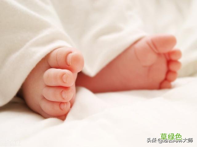 喜用神为木火的男孩名字 木属读什么