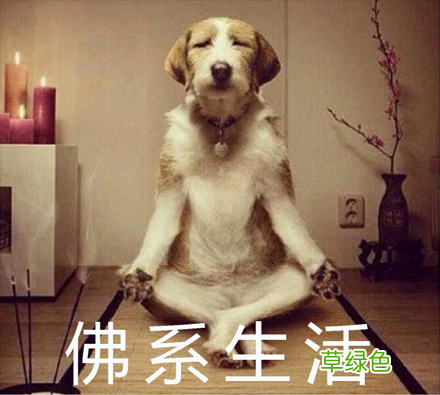 佛系的句子经典语录 佛系交友