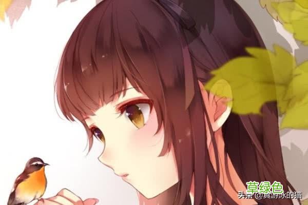 男主角姓洪的5本网络小说，创意真不错，足够解决老书虫的书荒 洪姓名字