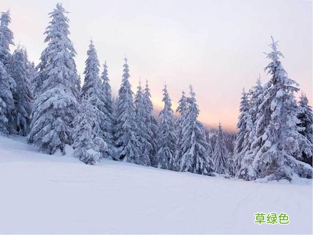 春夏秋冬 四联一字名诗 梓锋什么意思