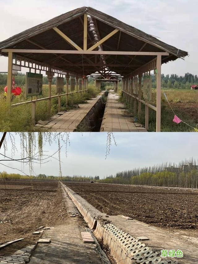 新华全媒+｜“田长”杨立刚：拆走网红景 良田归粮田 游景起名怎么样