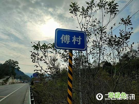 “付村”还是“傅村”？商州这两个路牌让人摸不着头脑 无繁体字怎么打