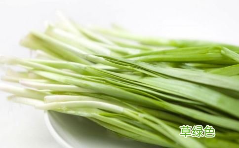 韭菜子功能主治 韭菜作用与功效