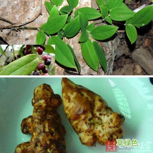 汞元素的功效与作用 汞的作用与功效