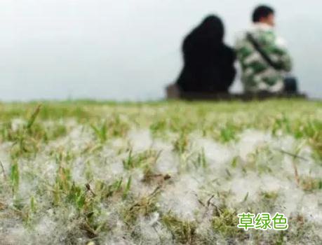 直冲30℃！这两天杭州不少人出门就恼，最折磨人的它又来了……接下来的天气意想不到 火宜什么字