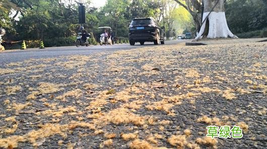 直冲30℃！这两天杭州不少人出门就恼，最折磨人的它又来了……接下来的天气意想不到 火宜什么字
