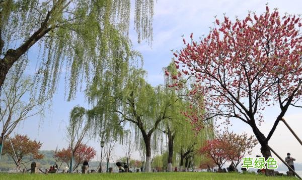 直冲30℃！这两天杭州不少人出门就恼，最折磨人的它又来了……接下来的天气意想不到 火宜什么字