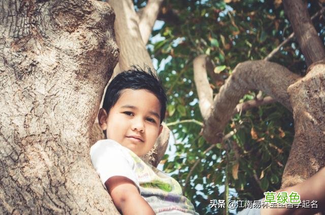 这些胸怀大志的男孩名字，征途远大，将来必定大有可为 烽有什么寓意