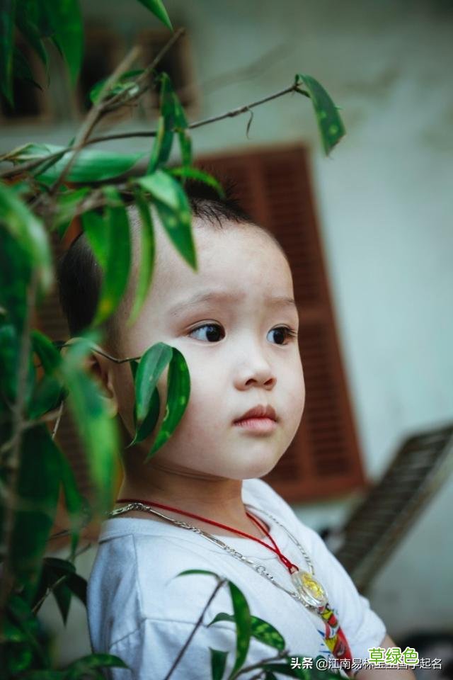 这些胸怀大志的男孩名字，征途远大，将来必定大有可为 烽有什么寓意