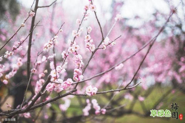 甄嬛传：熹贵妃娘娘，皇上喜欢你，超过了纯元皇后 熹叫什么字