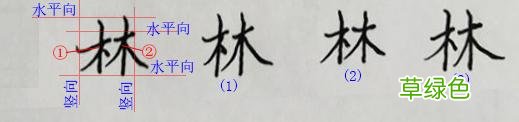 硬笔书法练字，木字旁，林字，鸟字怎么写才漂亮 林什么两个字