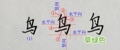 硬笔书法练字，木字旁，林字，鸟字怎么写才漂亮 林什么两个字