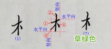 硬笔书法练字，木字旁，林字，鸟字怎么写才漂亮 林什么两个字
