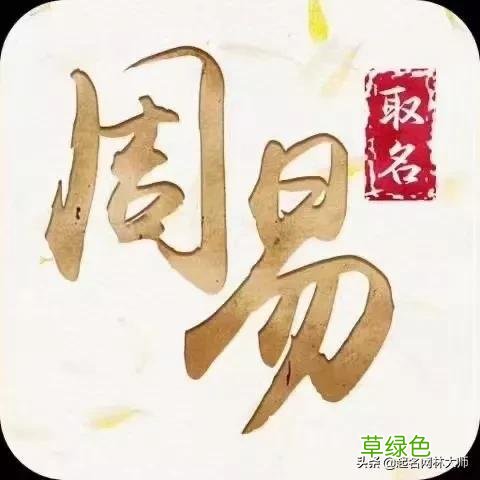 2022年一月虎宝宝取名，男孩、女孩免费名字分享，个个好听有内涵 琛怎么组名字