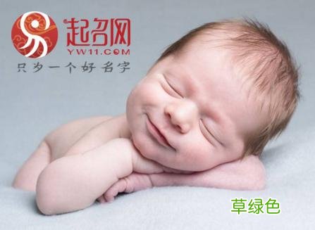 带有“宝盖头”的字，适合狗年出生的宝宝起名，附宝宝名字大全！ 琪组合名字