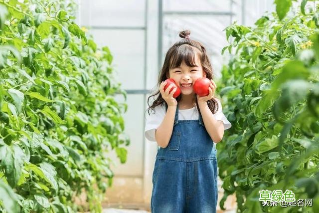 清隽出尘、仙气飘飘的女孩名，干净温柔，惊鸿一瞥 瑶字怎么取网名