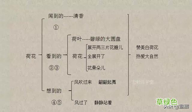 部编语文三下第3课《荷花》预习及课后练习题 瓣的笔顺怎么写