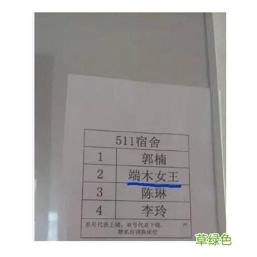 中国的那些中二家长 给孩子取名叫陆焰之瞳 瞳字什么意思