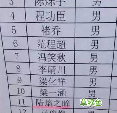 中国的那些中二家长 给孩子取名叫陆焰之瞳 瞳字什么意思