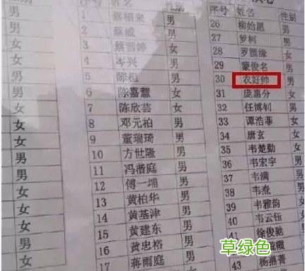 中国的那些中二家长 给孩子取名叫陆焰之瞳 瞳字什么意思