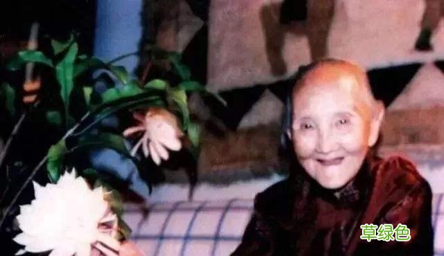 她是中国最伟大的母亲，养出了13个博士，美国总统亲自为她贺寿 王淑珍名字