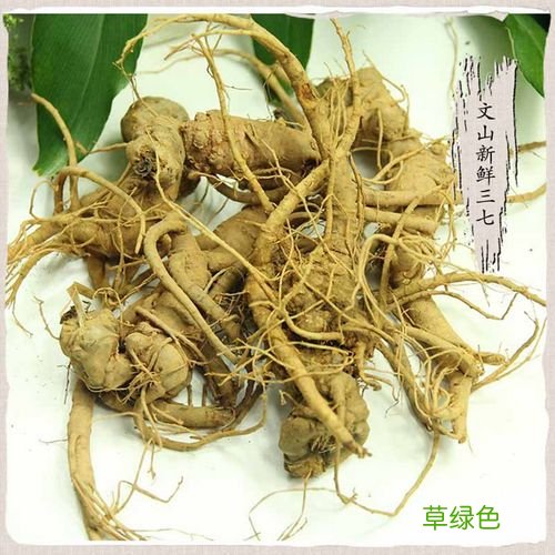 三七不能和什么一起炖 三七不能和什么药材一起泡酒