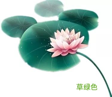 「于长友起名」五行生克与十二生肖关系是怎么对应的 犯冲怎么解